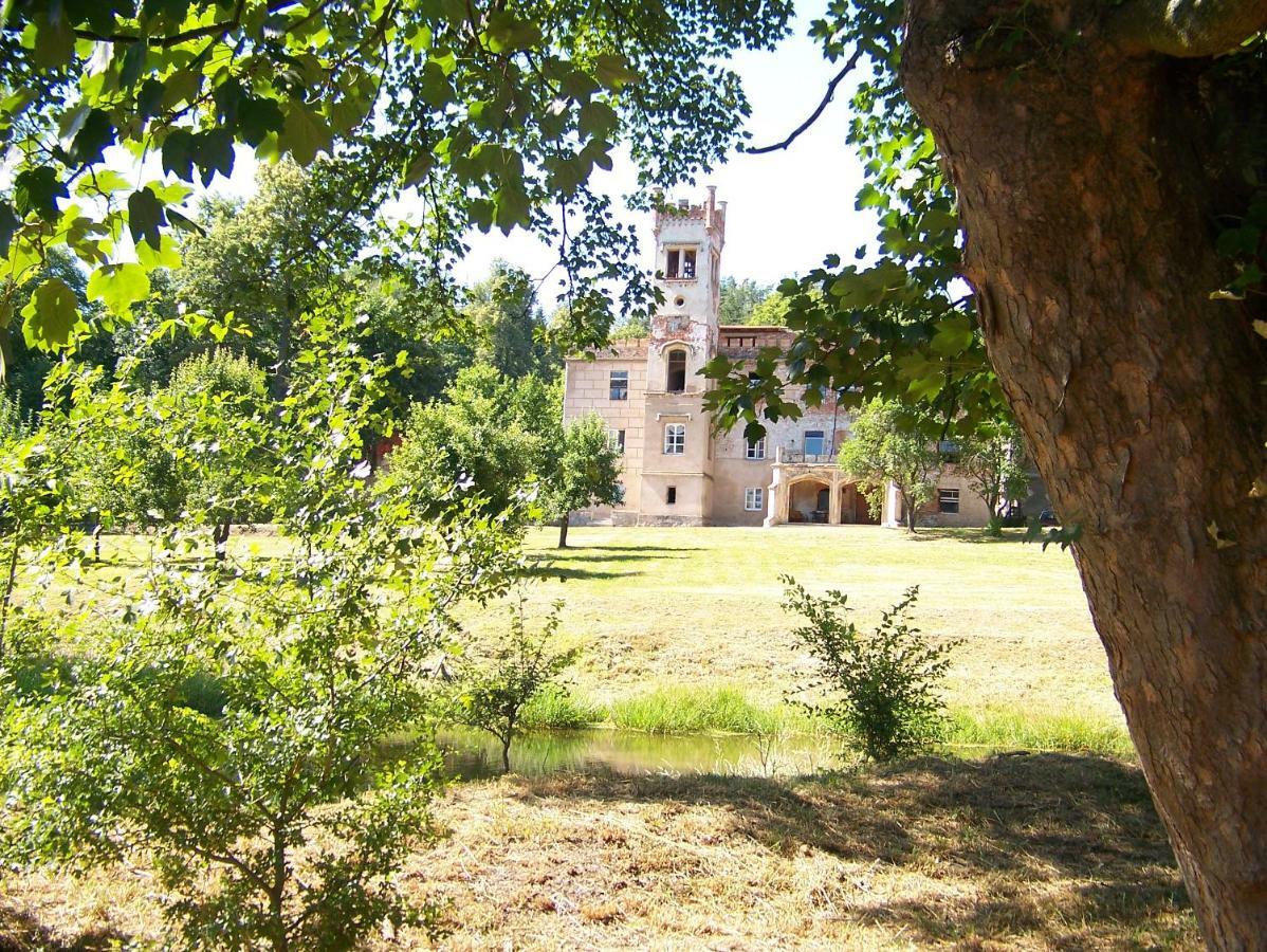 Palac Dabrowica Dabrowica  Extérieur photo