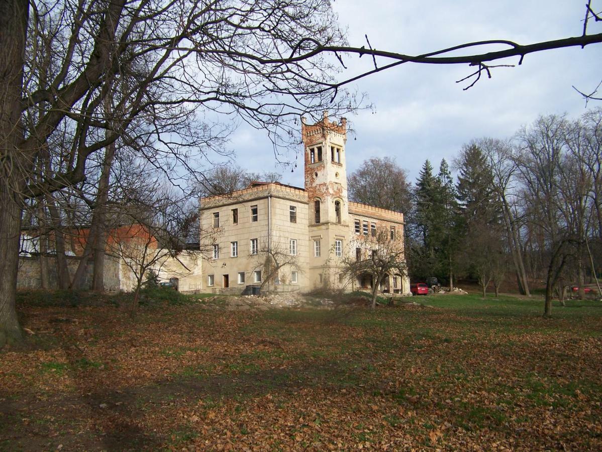 Palac Dabrowica Dabrowica  Extérieur photo